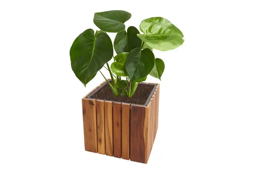 PROREGAL Pflanzkasten aus Akazie 32x32x32cm – Outdoor Blumentopf - Hochwertiger Blumentopf aus Akazienholz, ideal für den Außenbereich. Mit herausnehmbarem Einsatz und geprüfter Qualität sorgt er für Stabilität und Langlebigkeit – ein stilvoller Blickfang für Ihren Garten!