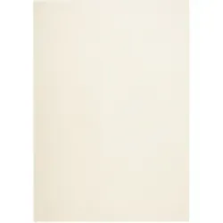 OCI DIE TEPPICHMARKE Hochflor-Teppich Soft Dream - Rechteckig, 120x170 cm, besonders weich durch Microfaser, ideal für das Wohnzimmer in beige