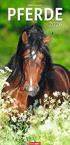 Pferde Kalender 2026: Wandkalender mit beeindruckenden Fotos - Tierkalender mit großformatigen Bildern der bekannten Fotografin Sabine Stuewer, ideal für Pferdeliebhaber und ein echter Hingucker in jedem Raum.