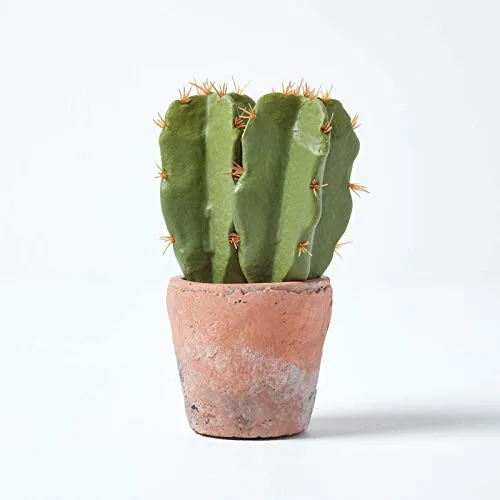 Kunstpflanze Klein – Künstlicher Kaktus im rustikalen Terrakotta-Topf, 17 cm - Naturgetreuer Mini-Kaktus in einem stilvollen Terrakotta-Topf. Pflegeleicht und ideal für alle, die wenig Zeit haben. Perfekte Dekoration für jeden Raum.