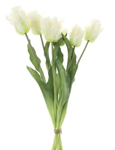 Dekorationen von mucPlants