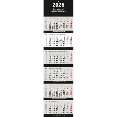 Großer 6-Monatskalender 2026 XXL Wandkalender - Wandkalender für 2026 im XXL-Format 1175 x 300 mm, ideal für Büros. Übersichtliche 6 Monate auf einer Seite, mehrsprachig in Deutsch und Englisch.