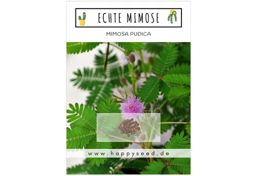 HappySeed Blumensamen Echte Mimose Samen - Mimosa Pudica, Blumen