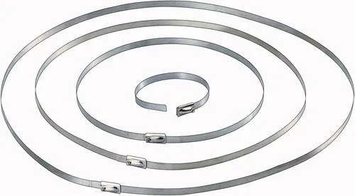 TRU Components 1570838 Kabelbinder 201mm 4.60mm Silber 10St.