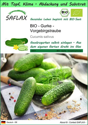 SAFLAX Gemüsesamen SAFLAX - Garden to go - BIO - Gurke - Vorgebirgstraube