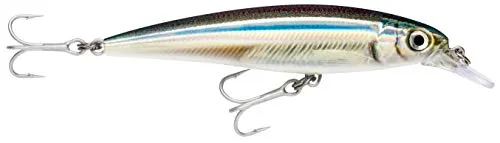 Rapala - X-Rap Saltwater Angelköder - Angelzubehör für große Raubfische - Salzwasser-Köder für alle Fischarten - Lauftiefe 1.2-2.4m - Fischköder 12cm, 22g - Hergestellt in Estland - Anchovy