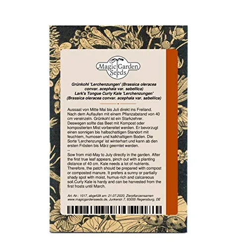 Grünkohl 'Lerchenzungen' (Brassica oleracea convar. acephala var. sabellica) 100 Samen Braunkohl Winterkohl Krauskohl Ostfriesische Palme