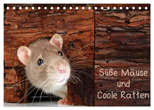 Klaus Eppele | Süße Mäuse und Coole Ratten (Tischkalender 2026 DIN A5 quer),...