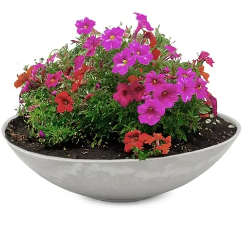 matches21 wetterfeste Pflanzschale für draussen