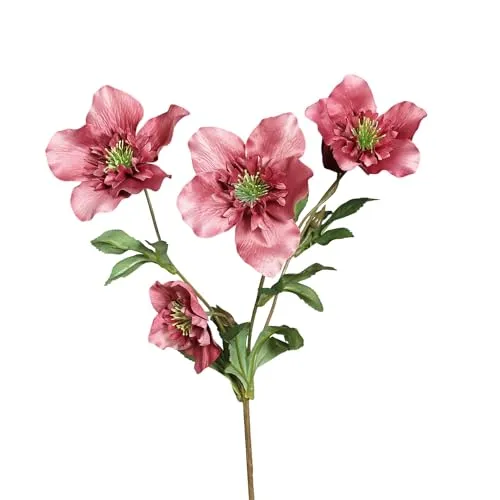 Seidenblumen Roß Christrosenzweig 68cm DP Kunstblumen künstliche Christrose Helleborus Schneerose Blumen Pflanzen (Rosa-Pink)