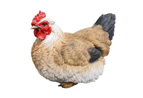 Aspinaworld Gartenfigur Sitzende braune Huhn Figur 21 cm, Figur für den Garten