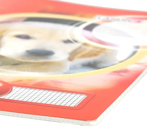 LANDRE Schulheft A4 32 Blatt kariert 7 mm (Packung mit 10) - Praktische LANDRE Schulhefte in A4 mit 32 Blatt und 80 g/qm, ideal für Schule und Studium. Perfekte Lineatur für sauberes Schreiben und Notizen.