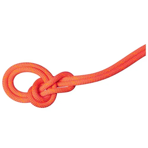 Mammut 9.8 Crag Dry Rope