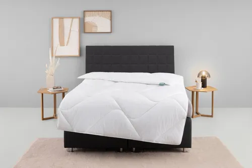 f.a.n. Microfaserbettdecke kochfest 135x200 cm - Hochwertige Bettdecke aus 100% Polyester, ideal für Allergiker und bietet hervorragende Wärmeisolation. Kochfest bis 95 °C, für erholsamen Schlaf in Sommer und Winter.