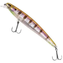 Zeck Angeln & Fischen von Zeck