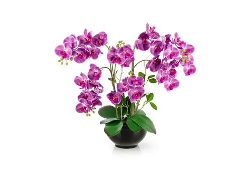 Kunstorchidee PASCH® XXL Orchidee künstlich wie echt (56cm) in Hochglanz-Keramiktopf Orchidee, PASCH