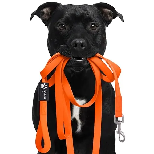 Reichstadt Pets Robuste PVC Hundeleine für Hunde – wasserabweisend, rutschfeste Oberfläche | 360° Edelstahl-Karabiner, pflegeleicht & wetterfest 25RSP086 Orange 5m