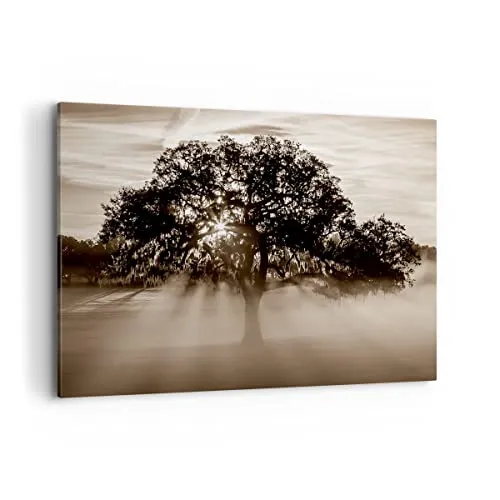 Bilder auf Leinwand 100x70cm Leinwandbild mit Rahmen Baum Feld Natur Groß Wanddeko Bild Schlafzimmer Küche Deko Wandbilder Dekoration Wohnzimmer Wall Decor Canvas Wand Kunstdruck Art AA100x70-3811