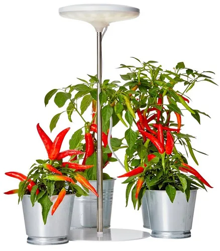 Produktbild Northpoint Pflanzenlampe Northpoint LED Pflanzenleuchte Pflanzenlicht mit Teleskopstab