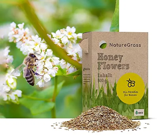 NatureGrass HoneyFlower | Bienenwiese Saatgut Mehrjährig Winterhart | Wildblumenmischung für Bienen & Schmetterlinge | Blumenwiese Samen für Eine Blütenreiche Bienenweide | 500g für 125 m²