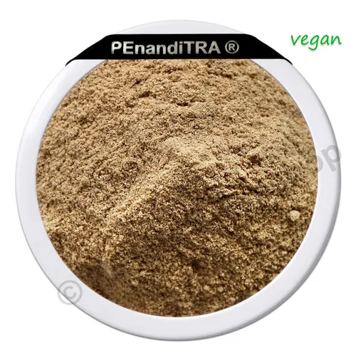 Koriander gemahlen Coriander Koriander Pulver - 500 g - PEnandiTRA®