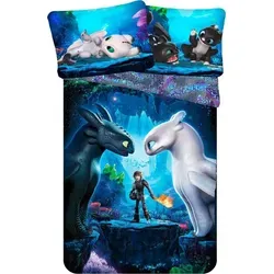 How to Train Your Dragon Bettbezug für Einzelbett - Bettwäsche-Set aus 100 % Baumwolle, wendbar mit 2 Designs, perfekt für kleine Drachenfreunde. Größe 140 x 200 cm und Kissenbezug 70 x 90 cm.