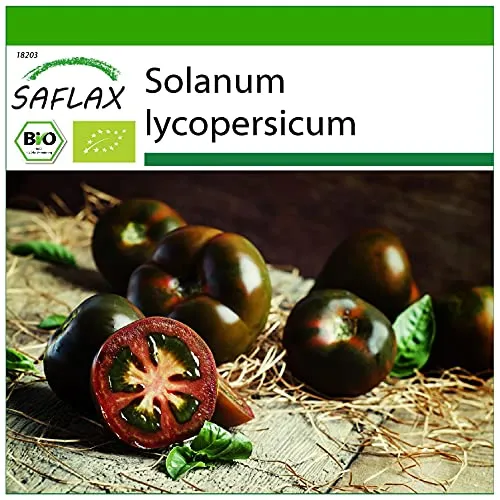 SAFLAX - BIO - Tomate - Black Cherry - 10 Samen - Solanum lycopersicum