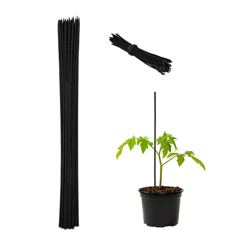 Pflanzenstab  Pflanzenstütze Rankstab Bambusstütze Tomatenstütze 50 Stück