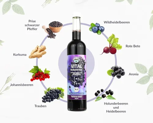 Bio Vita Organica Vital Konzentrat mit Kaltgepressten Superfrüchten 500 ml