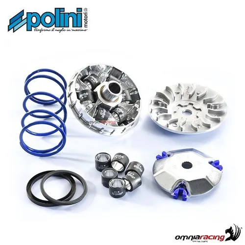 Polini Hi-Speed Evolution Variator D.13 für Aprilia SR50LC