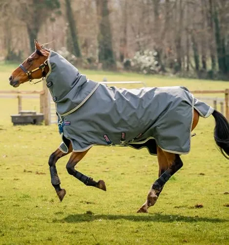 Horseware® Amigo® Bravo 12 Plus Bundle Weidedecke von Horseware