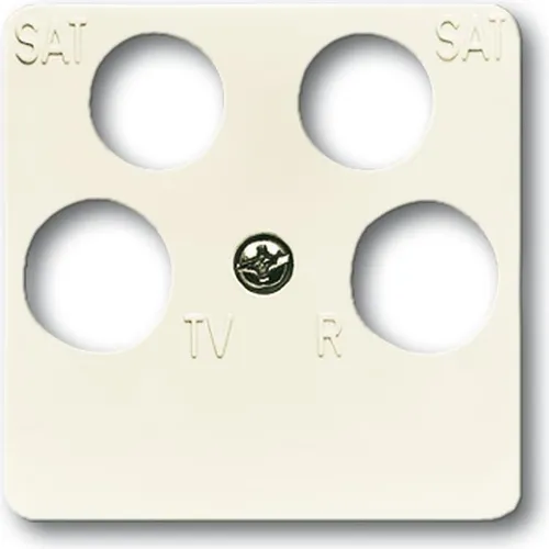 Busch-Jaeger Zentralscheibe (2CKA001753A8634)