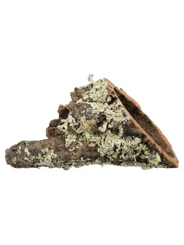 Trixie Cork tunnel XS-S: up to ø 6/20 cm von Trixie