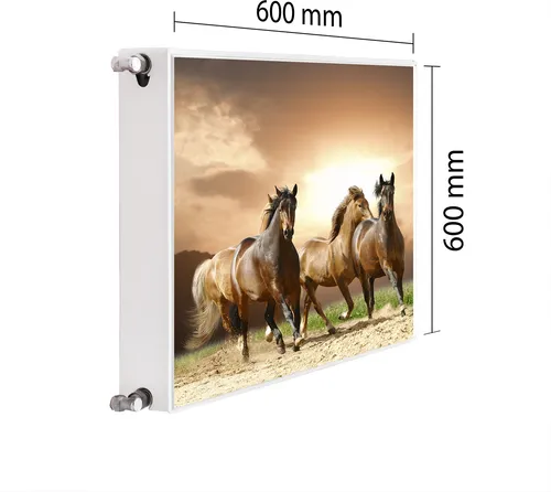 Magnet Heizkörperverkleidung Heizkörperabdeckung 60x60 PFERDE