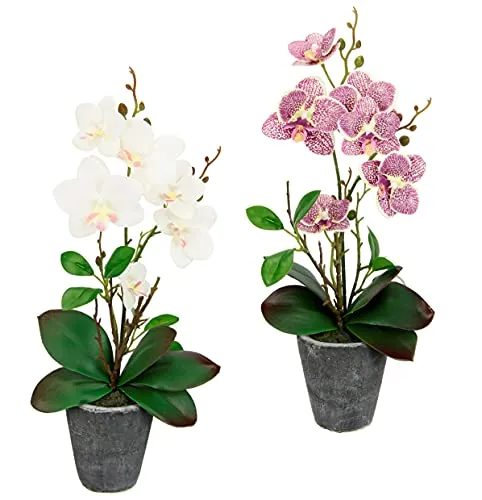 Flair Flower Kunstblumen Orchidee 40cm