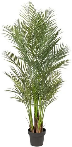 Kunstpalme Arecapalme Palme, Creativ green, Höhe 160 cm