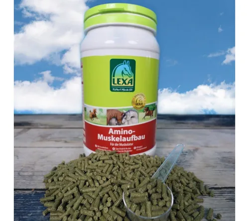 EPONA Tierpräparate Lexa - Amino Muskelaufbau 1,2 kg, Lexa - Amino Muskelaufbau - Aminosäuren-Komplex für die Muskulatur