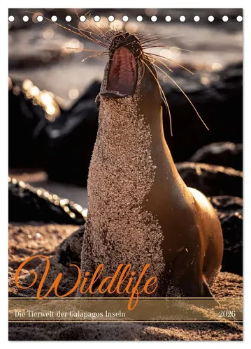 In X Tagen um die Welt | Wildlife - Die Tierwelt der Galapagos Inseln...
