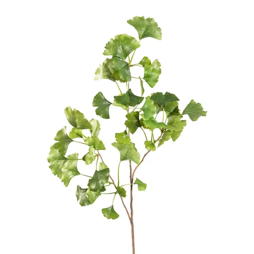 Kunstpflanze Gingkozweig, 2er Set, Höhe ca. 83 cm