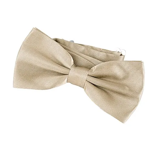 Krawatten Beige von DonDon