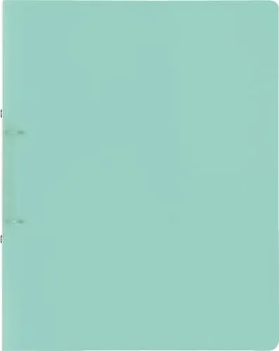 BRUNNEN Ringbuch FACT!pp mint