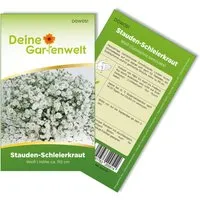 Deine Gartenwelt Stauden-Schleierkraut Weiß Samen