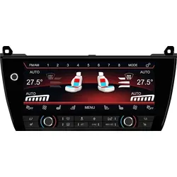 BMW 5 Series F10/F11 10,25