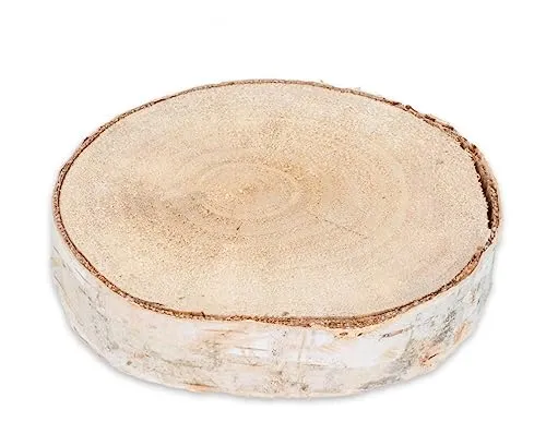 NaDeco Birkenscheibe rund, mit einem von Durchmesser ca. 10-15cm x Stärke ca. 2cm | Holzscheibe zum Basteln und Dekorieren und zur Brandmalerei | Birkenstamm Scheiben | Birkenholz Deko | Holzscheibe