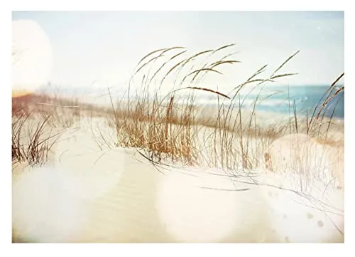 WallArena - Vlies Fototapete Strand und Meer Landschaft Dünen Ostsee 416x254 cm - Fototapeten - Tapeten - für Wohnzimmer Schlafzimmer - Vliestapete Wandtapete Tapete 3D Effekt- inkl. Kleister