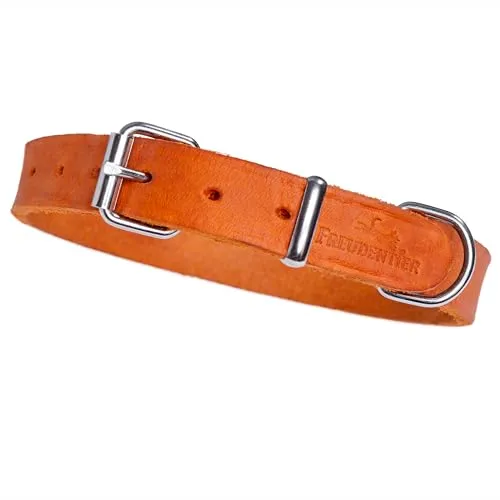 FREUDENTIER Hundehalsband Leder - Alsterufer Kollektion - Handgemachtes Lederhalsband für Hunde aus zertifiziertem Fettleder, weich und robust, ideal für alle Hunderassen. Mit optimaler Passform und speziellen Ringposition für mehr Komfort beim Spaziergang.