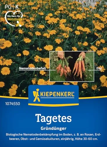 Kiepenkerl Nematodenkiller-Tagetessamen Single Gold 1074550 von Kiepenkerl