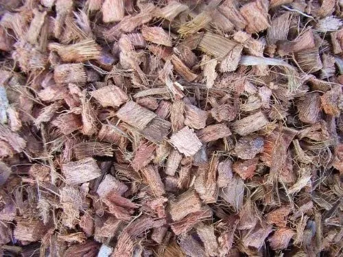 Orchideensubstrat aus 100% Kokos, grob, 10l (1,10€ / L) Kokosmulch, Spezialsubstrat, Orchideenerde, Kokoschips, Hydrokultursubstrat, Orchideen, Blumenerde, Bonsaisubstrat, torffrei