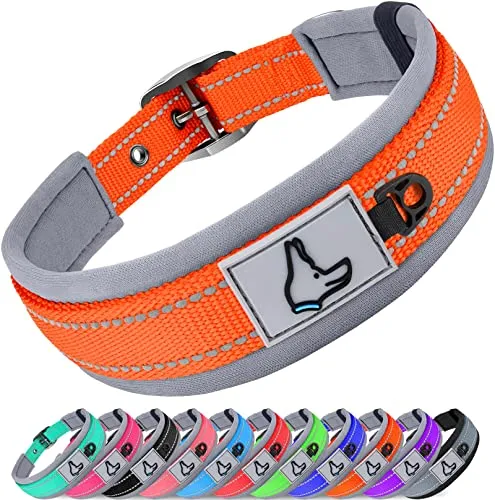 Joytale Halsband Hund, Weich Hundehalsband Gepolstert Neopren Hunde Halsband für Mittelgroße Hunde, Nylon Reflektierend Breit Halsbänder, Orange