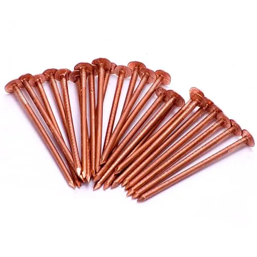 Kupfer-Nägel 20 x 65 mm – Hochwertige Baumstumpf-Killer